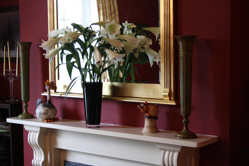مبيت وإفطار Winfrith Newburgh Cheriton House المظهر الخارجي الصورة